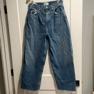 Agolde Dagna pleated baggy in trap